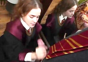 Hermione Gave Harry Potter a Blowjob Between Couples. Nicole Murkovski. Martin Spell.